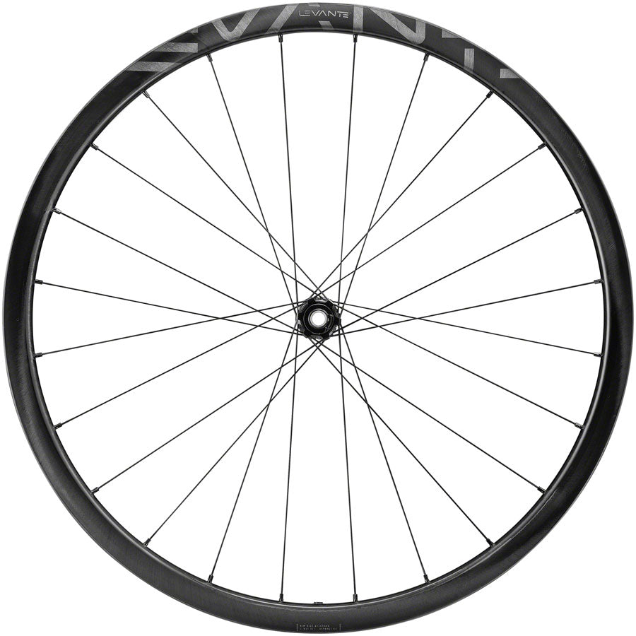 Campagnolo Levante Front Wheel - 700 12 x 100mm CenterLock Black