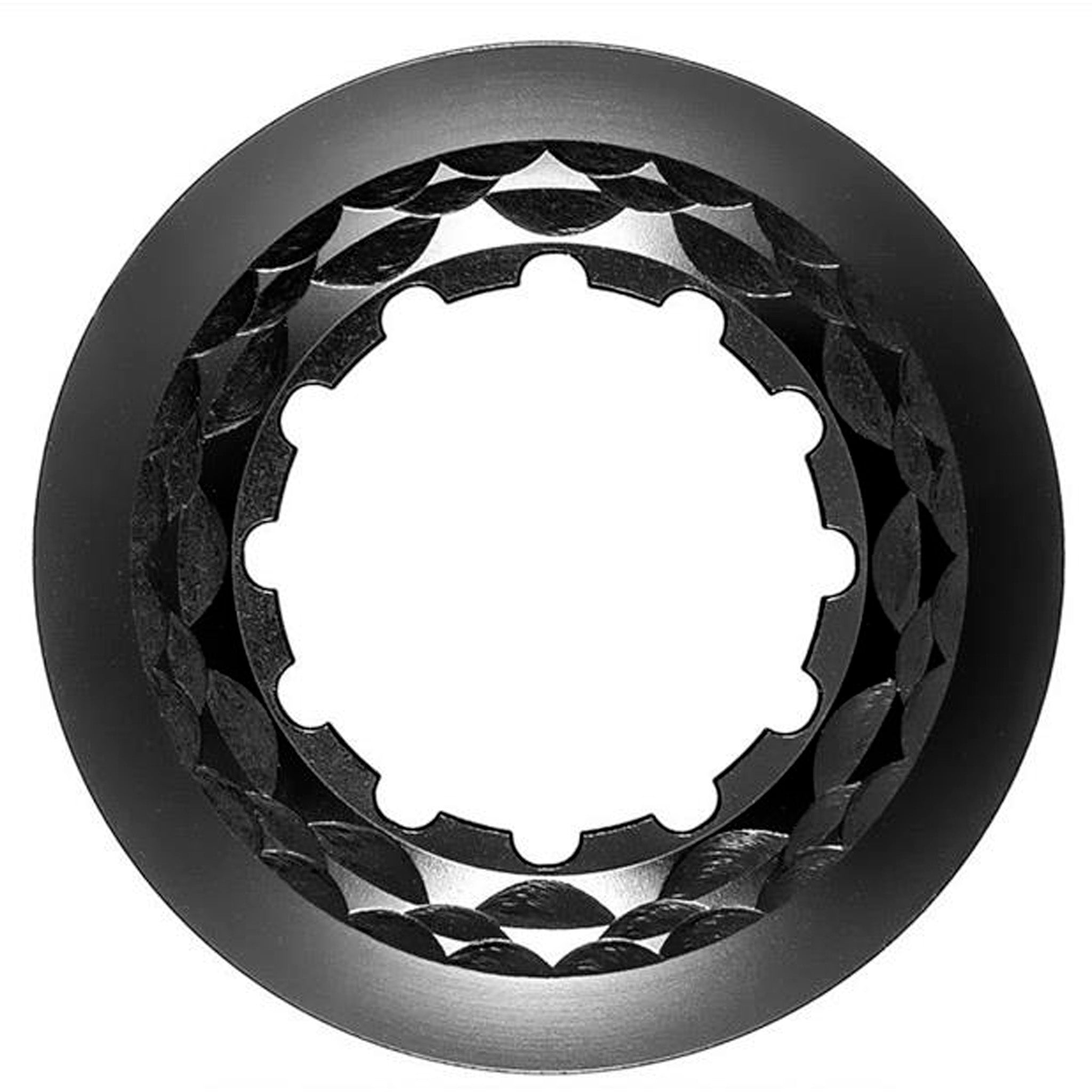 Disc Brake Rotors