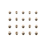 SRAM Lever Bleed Screw 20pcs