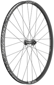 DT Swiss E 1900 Spline 30 Front Wheel - 29" 15 x 100mm Center-Lock Black