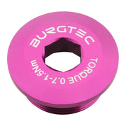 Burgtec Shimano Crank Bolt - Purple Rain